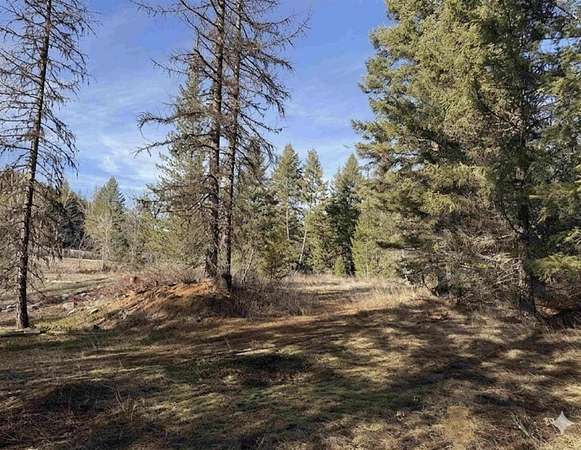 10 Acres of Residential Land for Sale in Colville, Washington