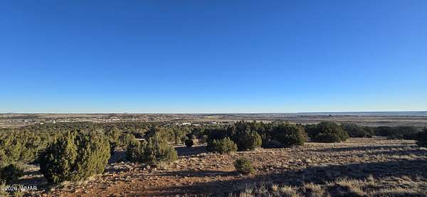 53.7 Acres of Land for Sale in Taylor, Arizona