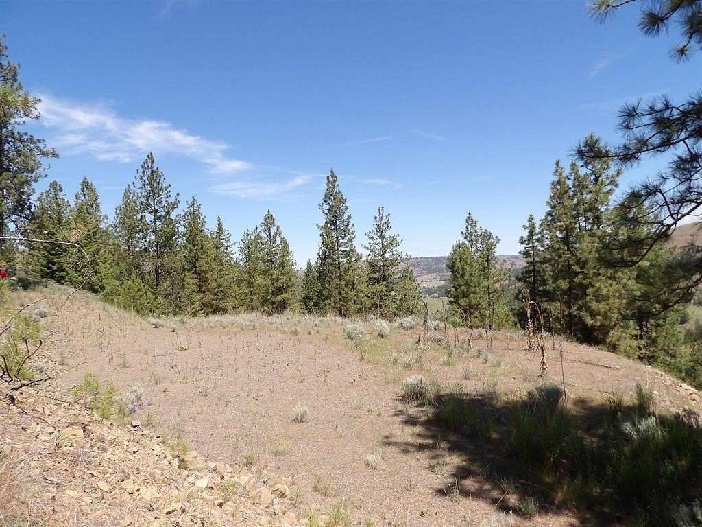 11.9 Acres of Recreational Land for Sale in Davenport, Washington