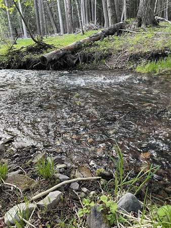 6.15 Acres of Residential Land for Sale in Newport, Washington