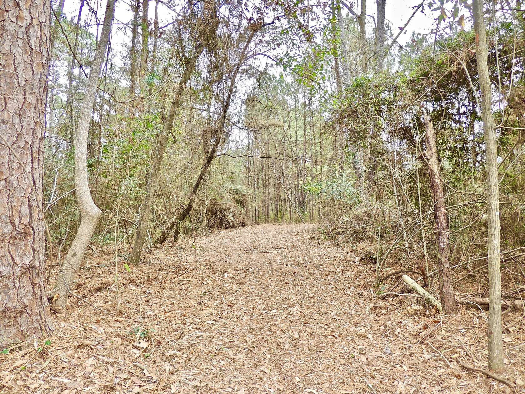 Residential Land for Sale in Sumrall, Mississippi