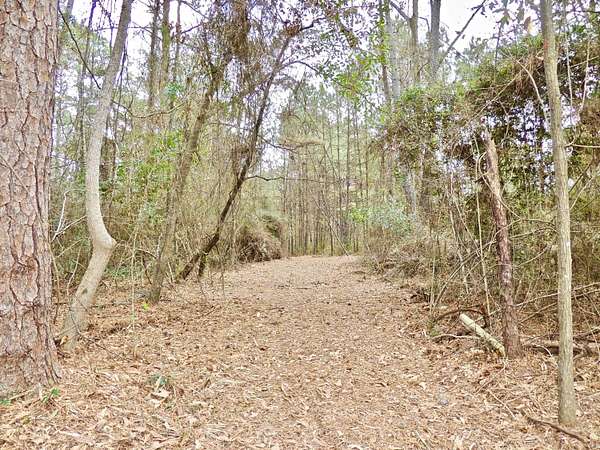 12 Acres of Land for Sale in Sumrall, Mississippi