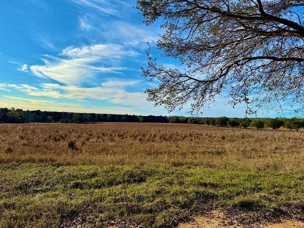 3.12 Acres of Residential Land for Sale in Hillister, Texas