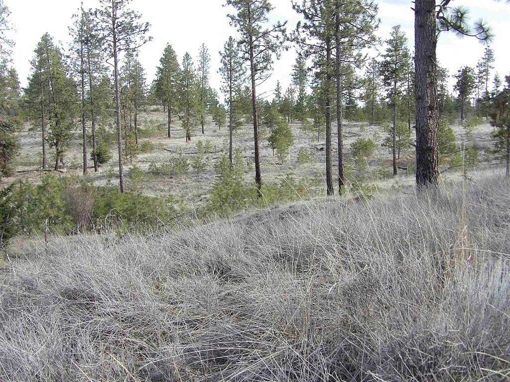 3.82 Acres of Residential Land for Sale in Davenport, Washington