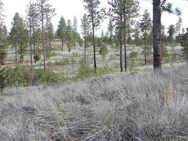 3.82 Acres of Residential Land for Sale in Davenport, Washington