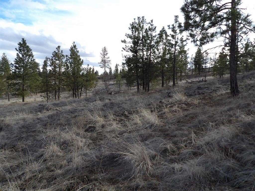 10 Acres of Recreational & Residential Land for Sale in Davenport, Washington