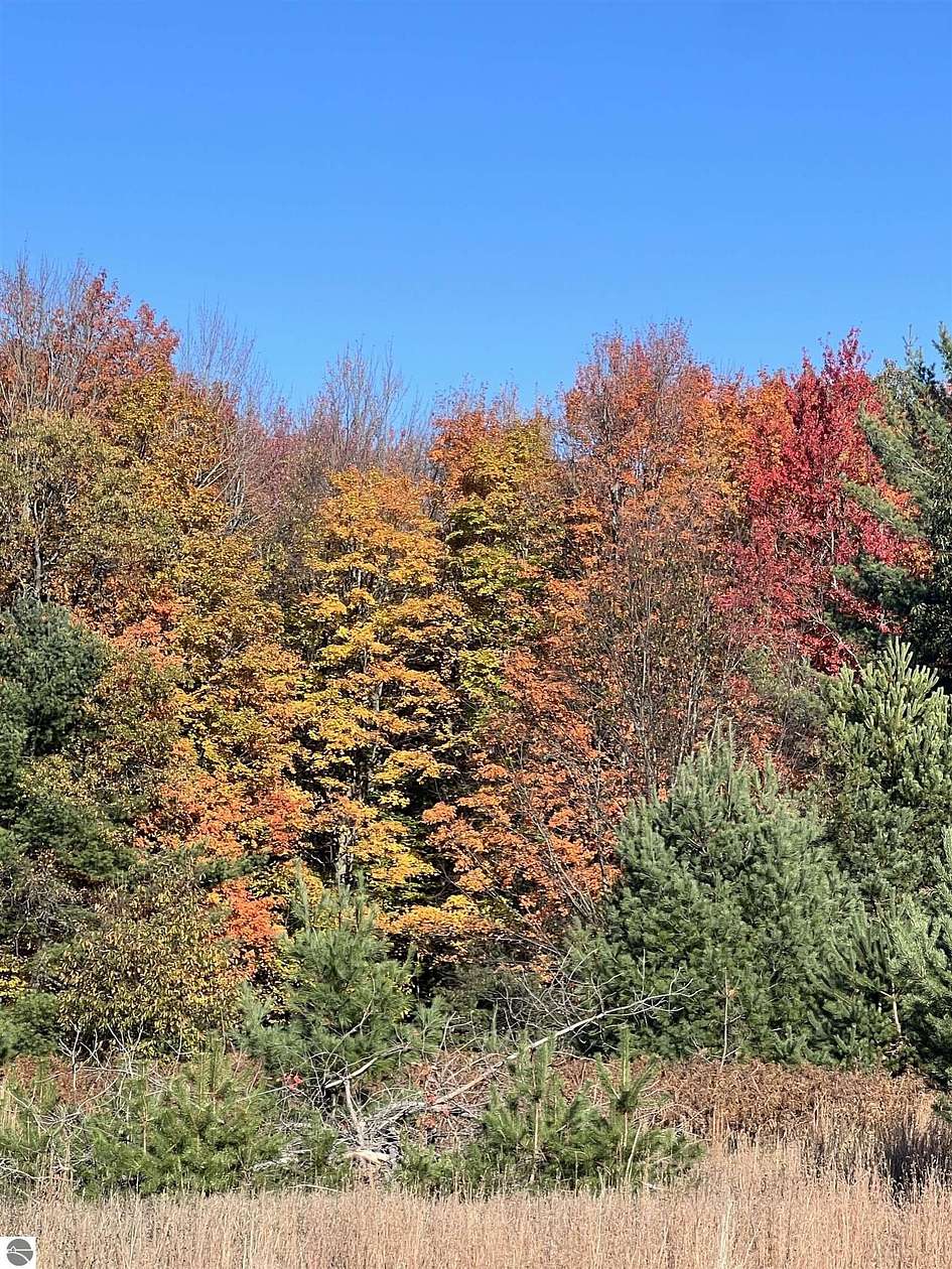 2 Acres of Residential Land for Sale in Kalkaska, Michigan