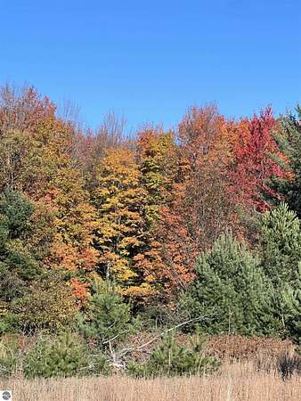 2 Acres of Residential Land for Sale in Kalkaska, Michigan