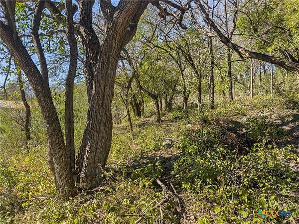 0.35 Acres of Land for Sale in New Braunfels, Texas