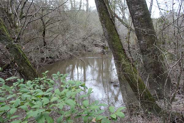 75 Acres of Recreational Land & Farm for Sale in Bogue Chitto, Mississippi