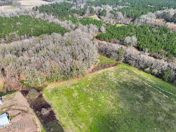 34 Acres of Recreational Land & Farm for Sale in Smithdale, Mississippi