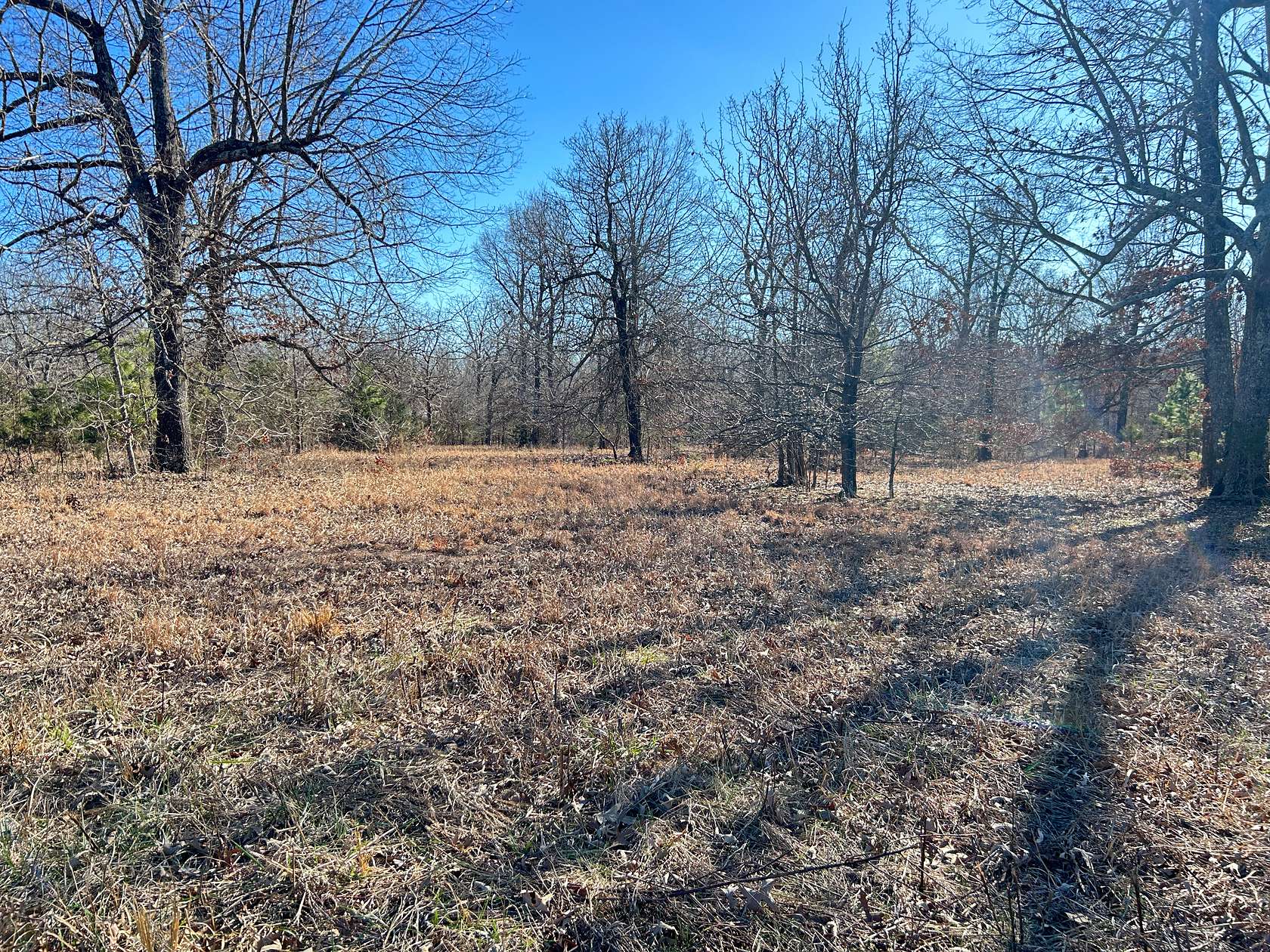 7.16 Acres of Land for Sale in Highland, Arkansas