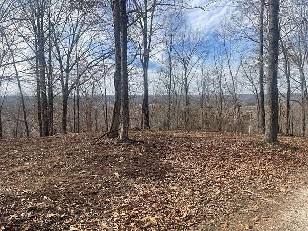 33 Acres of Land for Sale in Poplar Bluff, Missouri