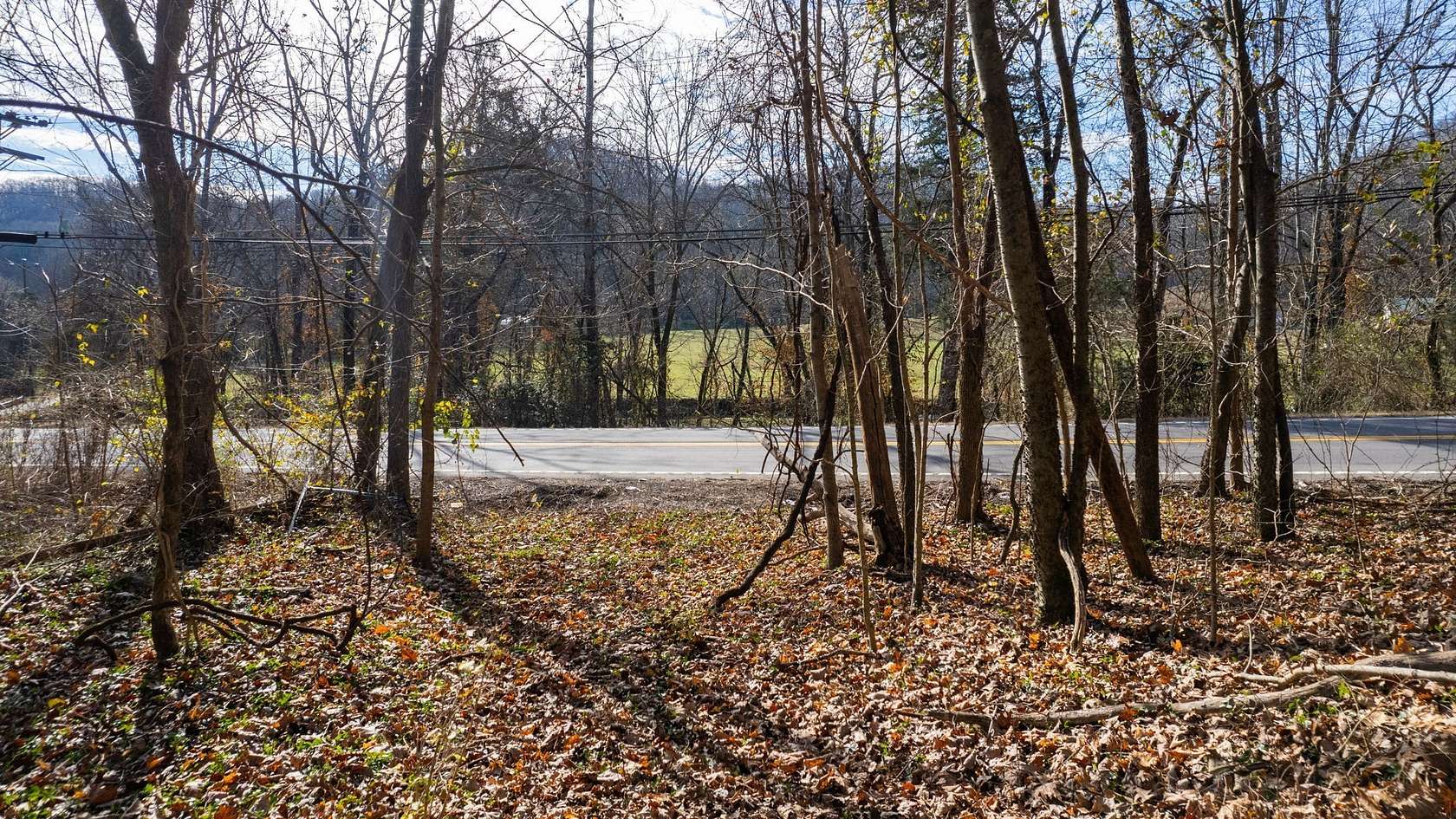 10 Acres of Land for Sale in Whites Creek, Tennessee