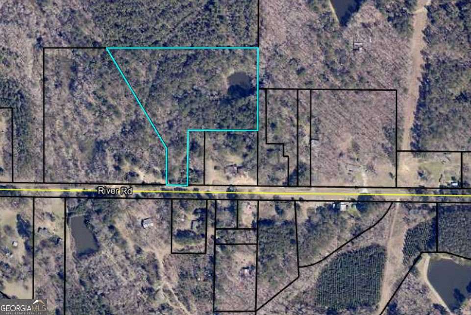 8.67 Acres of Residential Land for Sale in Warm Springs, Georgia