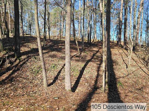 0.29 Acres of Residential Land for Sale in Hot Springs Village, Arkansas