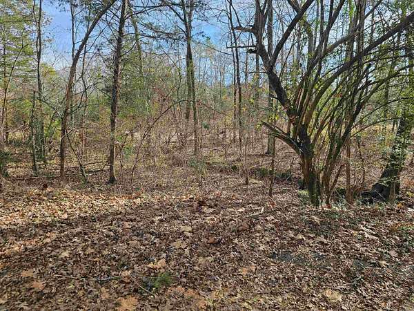 0.25 Acres of Residential Land for Sale in Hot Springs Village, Arkansas