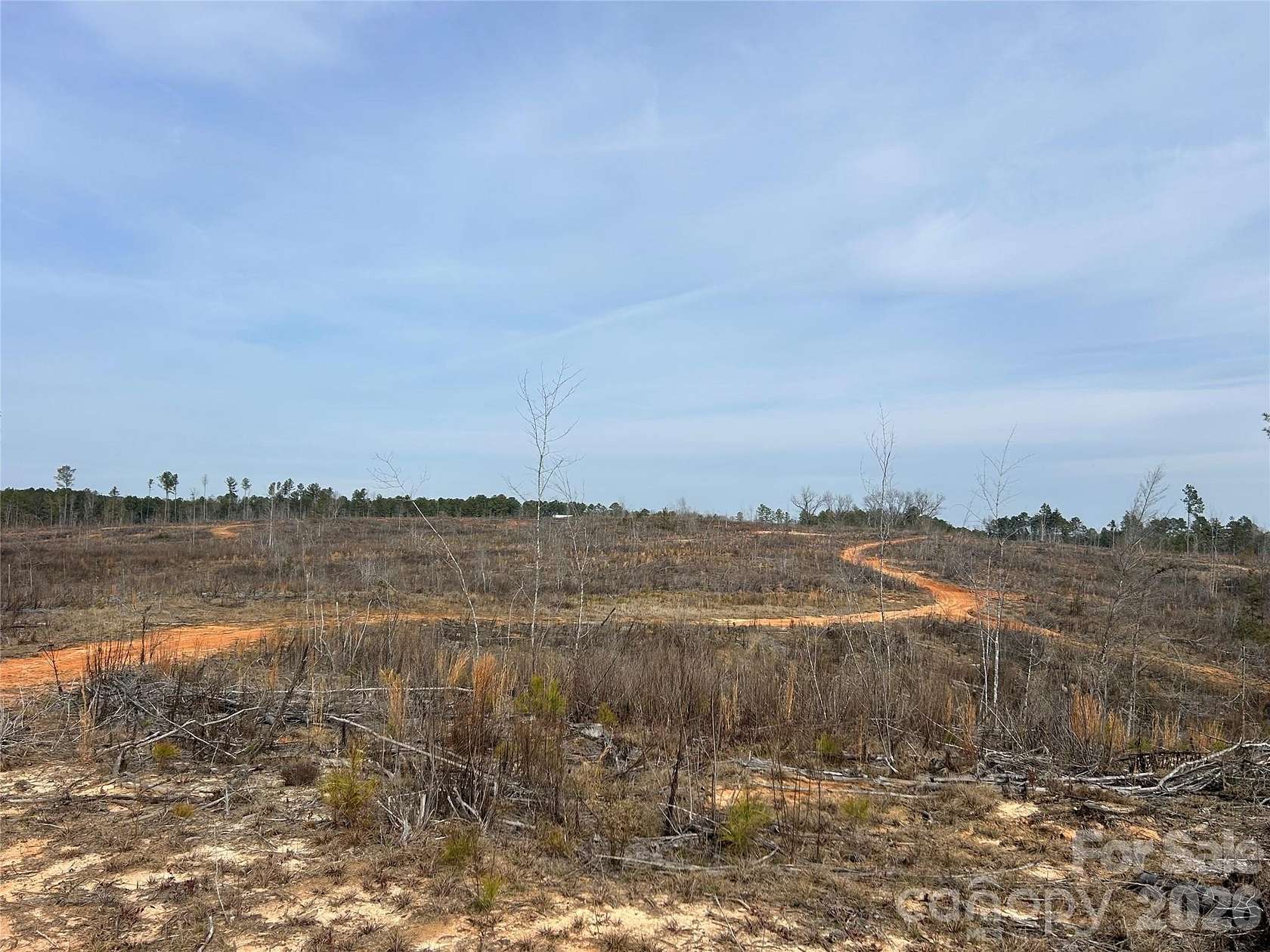 100 Acres of Land for Sale in Blackstock, South Carolina