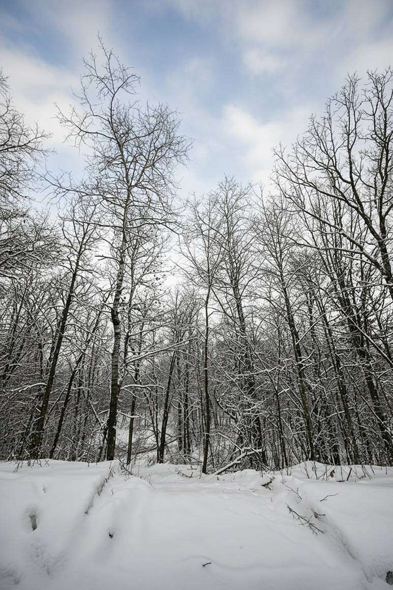 8.6 Acres of Residential Land for Sale in Trego, Wisconsin