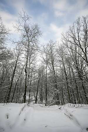 8.6 Acres of Residential Land for Sale in Trego, Wisconsin