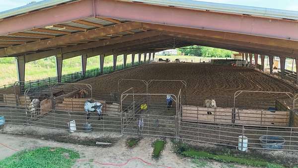 10 Acres of Agricultural Land for Sale in Downsville, Louisiana