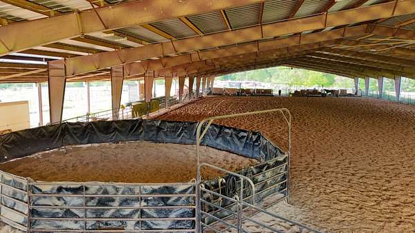 10 Acres of Agricultural Land for Sale in Downsville, Louisiana