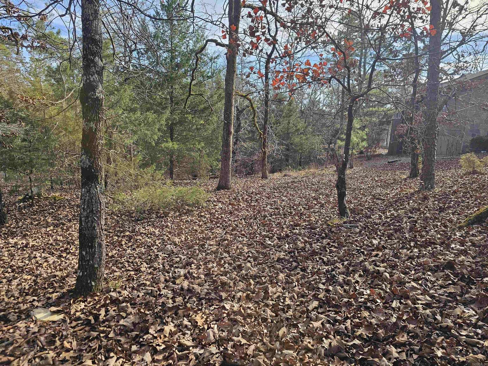 0.25 Acres of Residential Land for Sale in Hot Springs Village, Arkansas