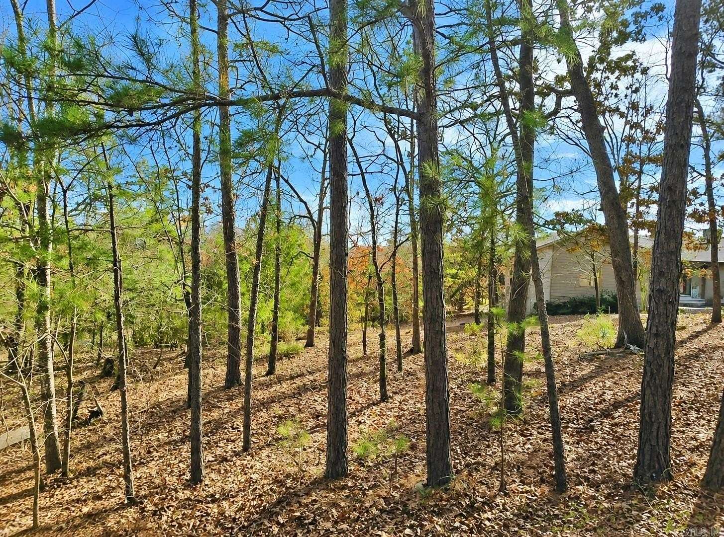 0.25 Acres of Residential Land for Sale in Hot Springs Village, Arkansas