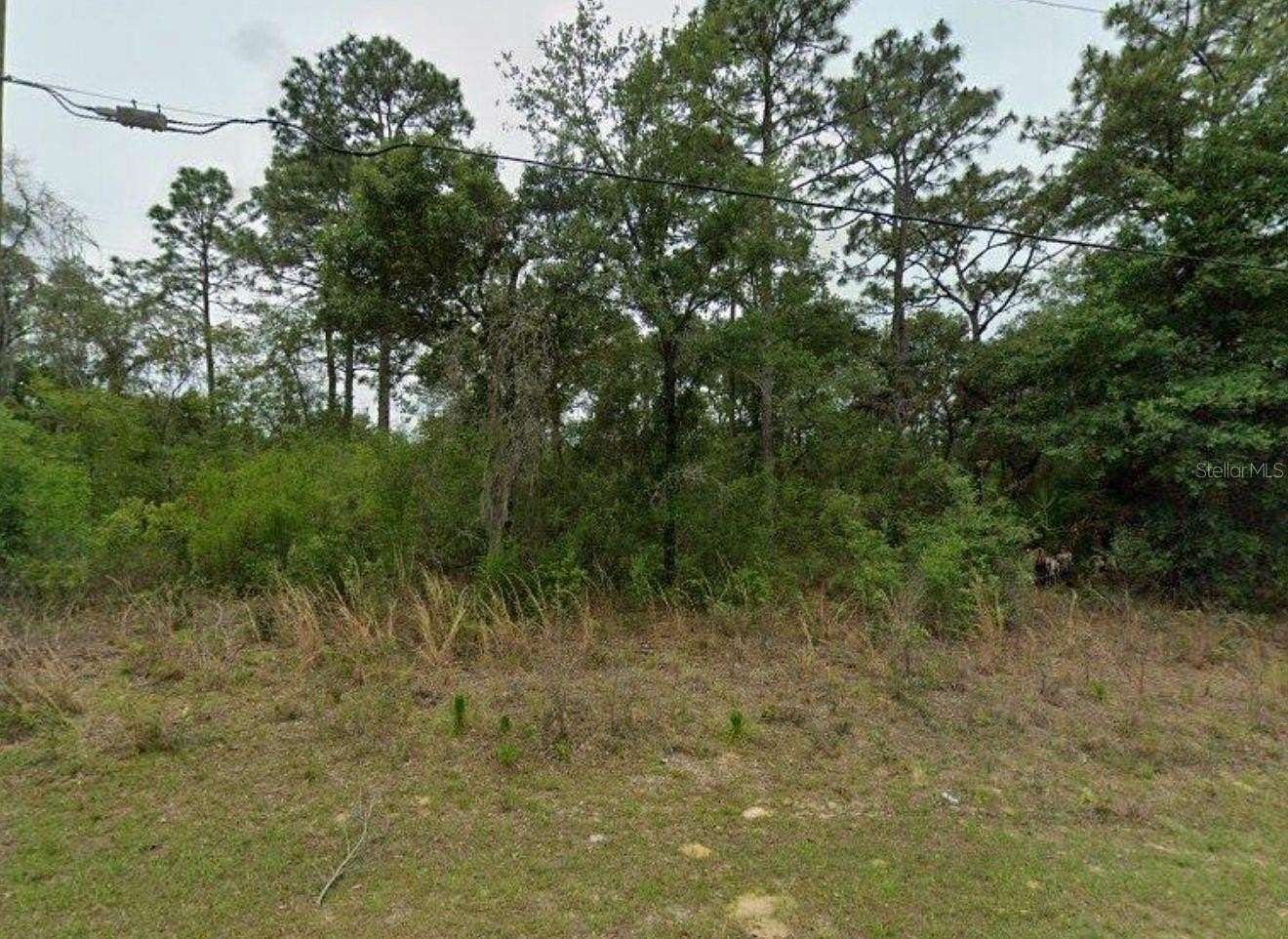 0.23 Acres of Land for Sale in Citrus Springs, Florida