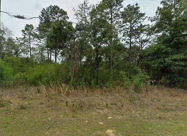 0.23 Acres of Land for Sale in Citrus Springs, Florida