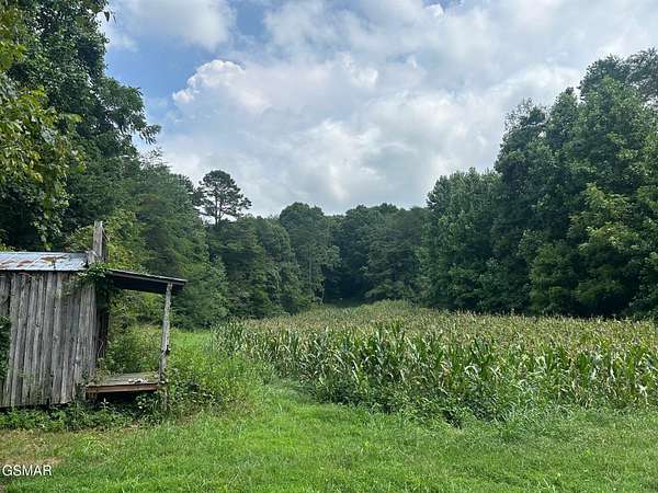 24 Acres of Land for Sale in New Market, Tennessee
