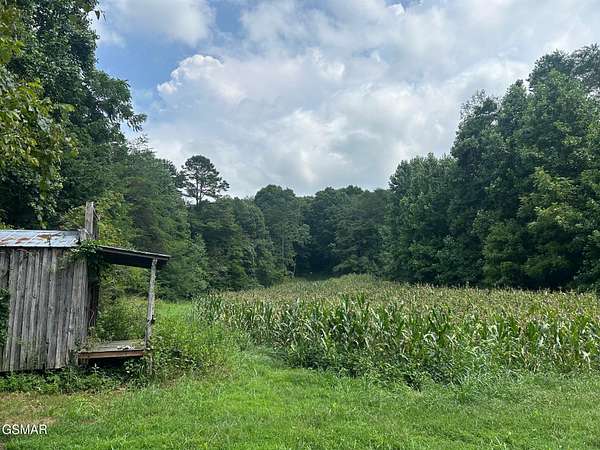 24 Acres of Recreational & Residential Land for Sale in New Market, Tennessee