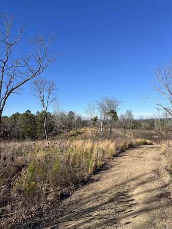 30 Acres of Land for Sale in Hot Springs, Arkansas