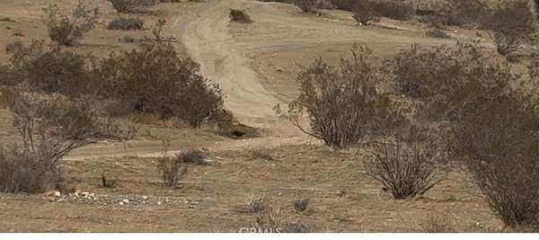 40 Acres of Recreational Land for Sale in Barstow, California