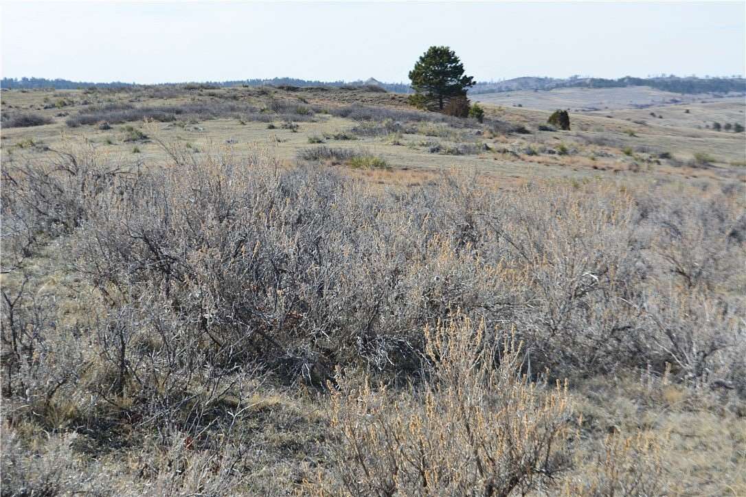 117 Acres of Land for Sale in Miles City, Montana