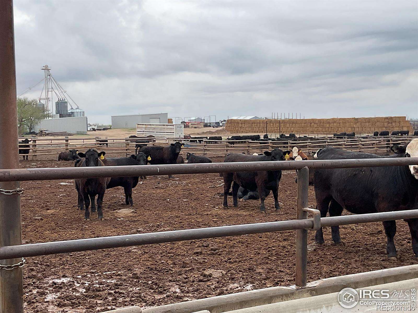 3,330 Acres of Agricultural Land for Sale in Kit Carson, Colorado
