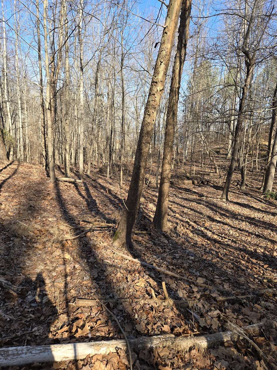 2.72 Acres of Residential Land for Sale in Big Sandy, Tennessee