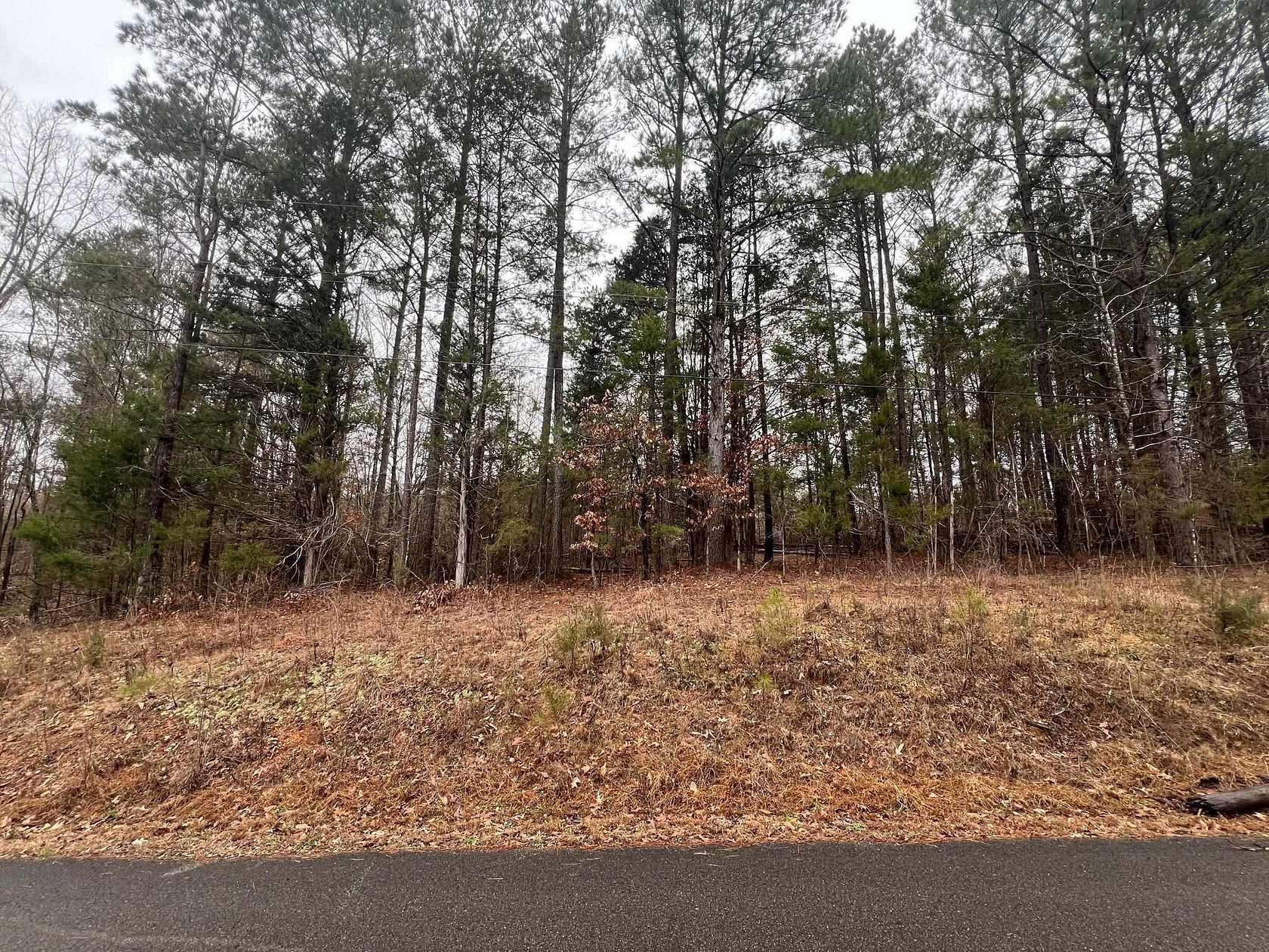 0.42 Acres of Residential Land for Sale in Parsons, Tennessee