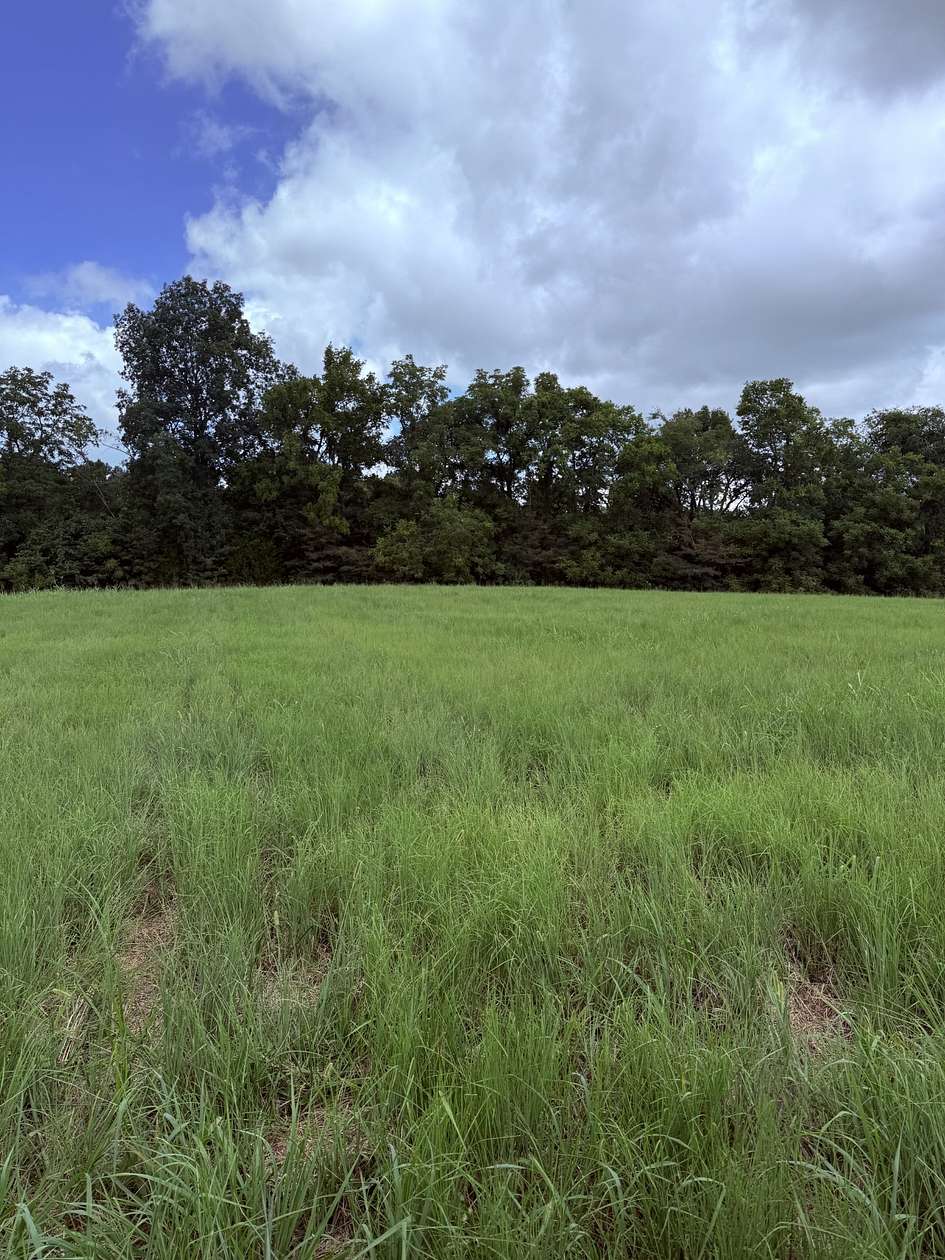 1 Acre of Mixed-Use Land for Sale in Chapel Hill, Tennessee