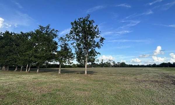 11 Acres of Land for Sale in Van Vleck, Texas
