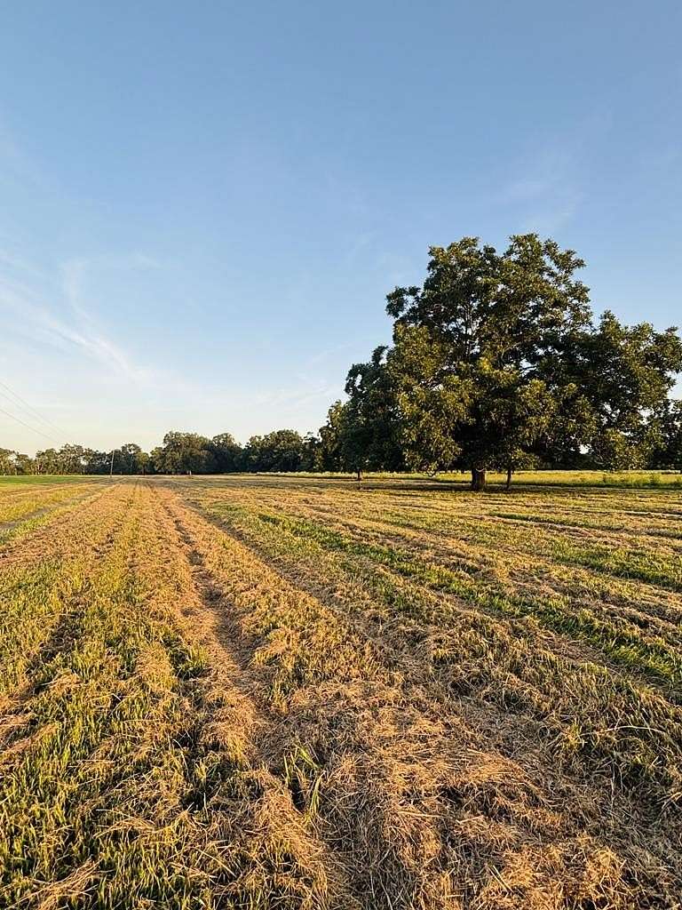 11 Acres of Land for Sale in Van Vleck, Texas