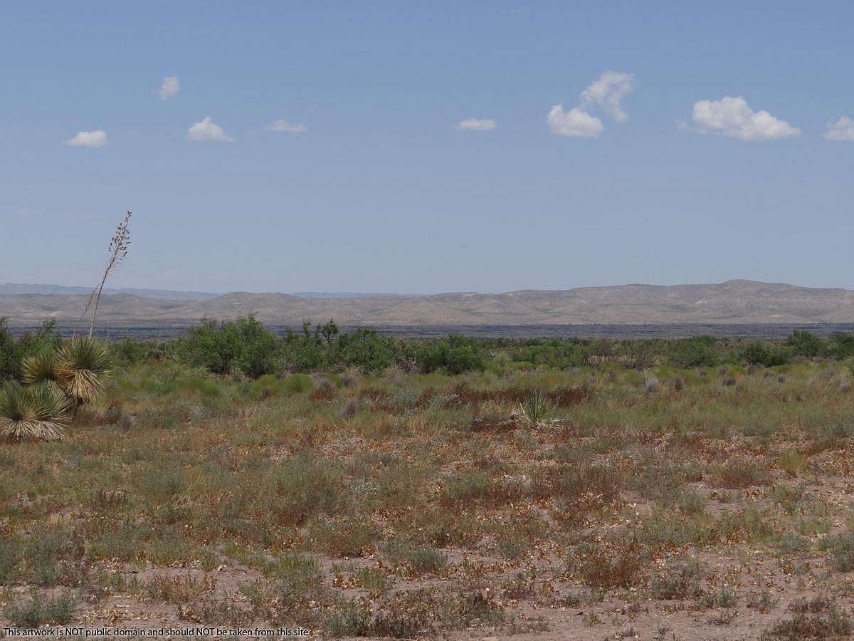 40 Acres of Recreational Land for Sale in Carrizozo, New Mexico