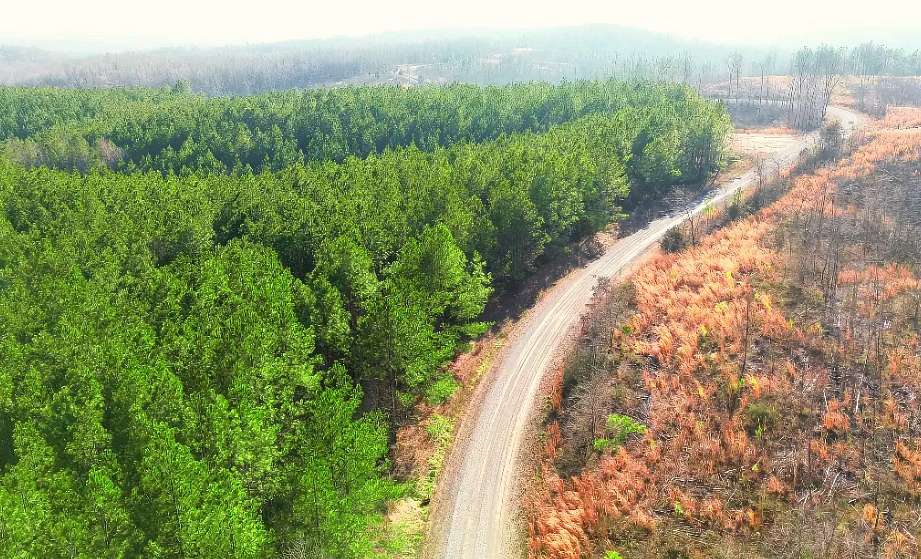 5 Acres of Land for Sale in Stewart, Tennessee