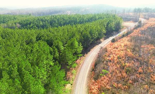 5 Acres of Land for Sale in Stewart, Tennessee