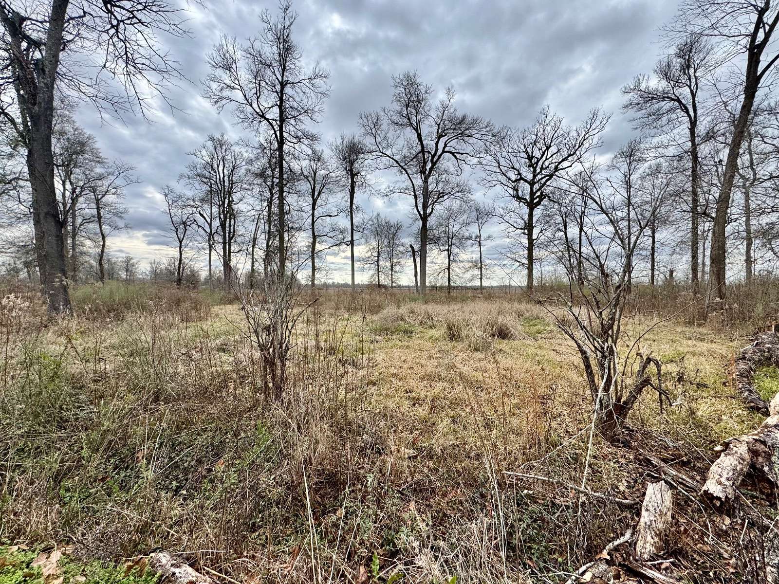1.2 Acres of Land for Sale in Sicily Island, Louisiana