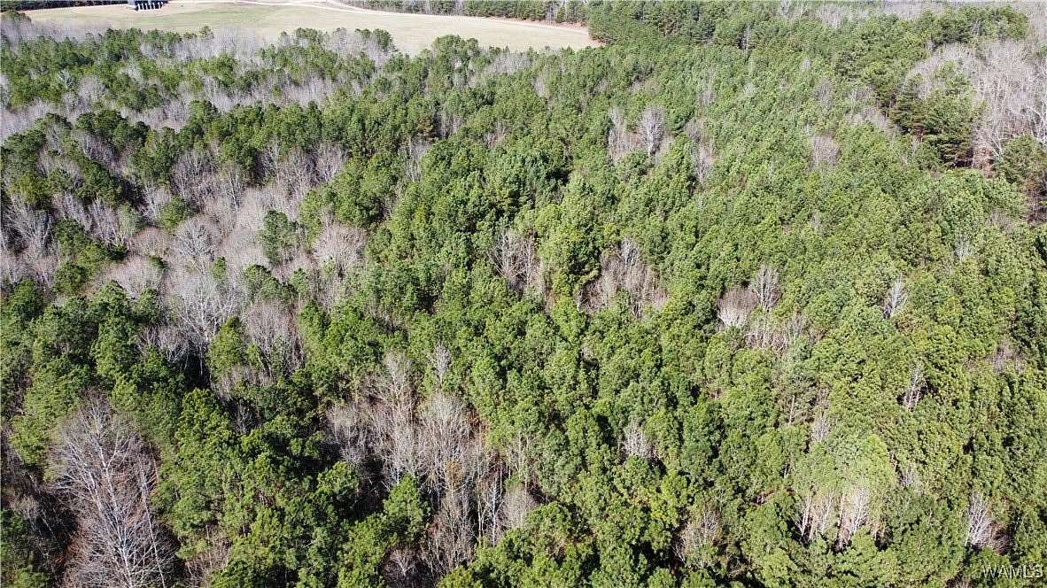 34 Acres of Recreational Land for Sale in Fayette, Alabama