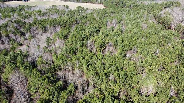 34 Acres of Recreational Land for Sale in Fayette, Alabama