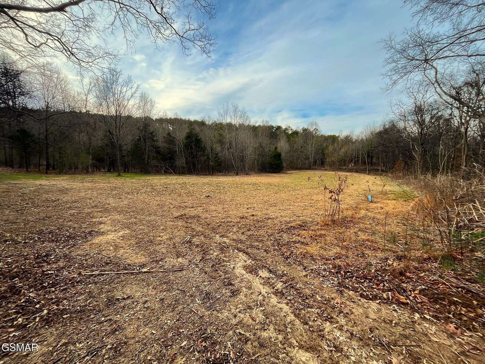 23.2 Acres of Land for Sale in New Market, Tennessee