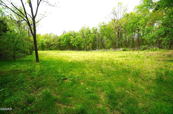 23.2 Acres of Land for Sale in New Market, Tennessee