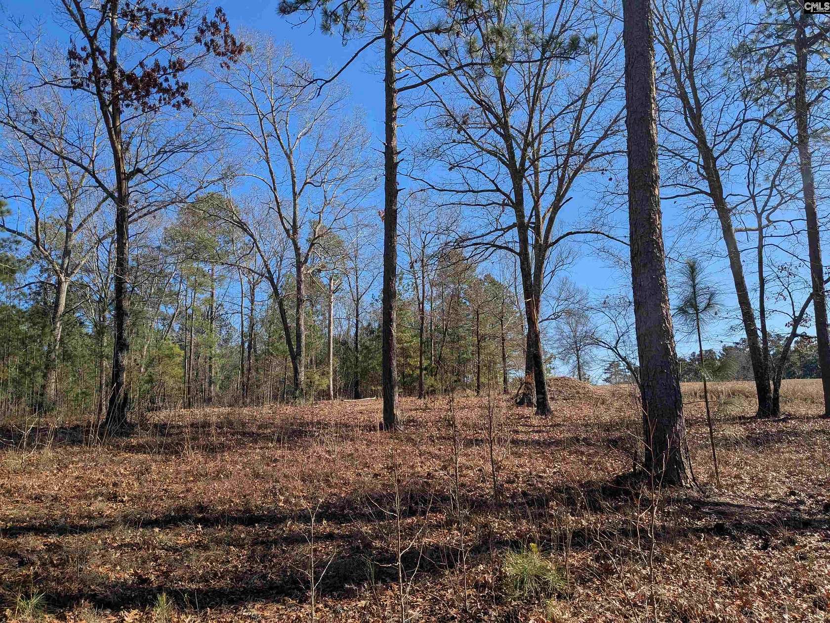 10 Acres of Residential Land for Sale in Ridgeway, South Carolina
